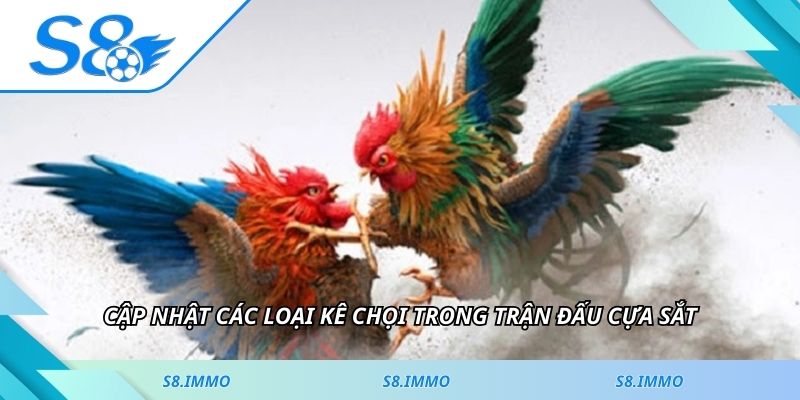 Cập nhật các loại kê chọi trong trận đấu cựa sắt