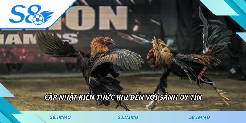 Cập nhật kiến thức khi đến với sảnh uy tín