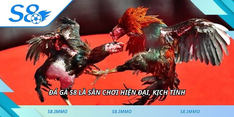 Đá gà S8 là sân chơi hiện đại, kịch tính