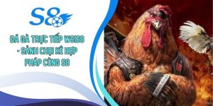 Đá gà trực tiếp WS168