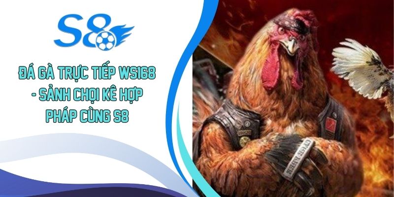 Đá gà trực tiếp WS168