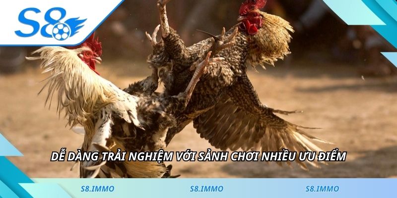 Dễ dàng trải nghiệm với sảnh chơi nhiều ưu điểm