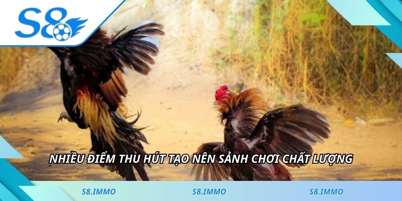 Nhiều điểm thu hút tạo nên sảnh chơi chất lượng